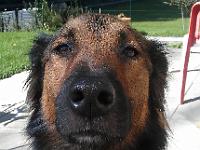 2011_10_05 bella  001